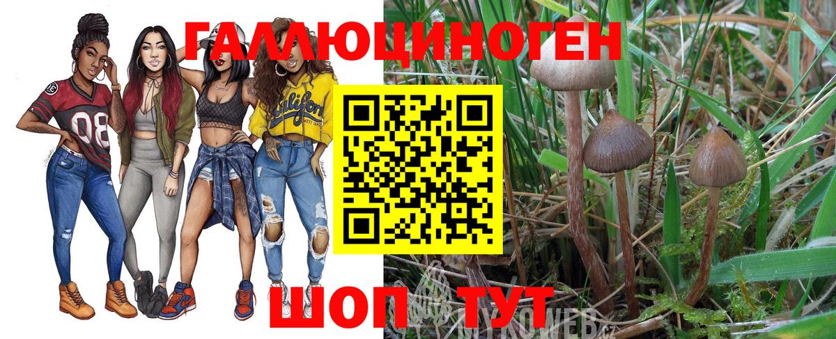 Псилоцибиновые грибы Magic Shrooms Кулебаки