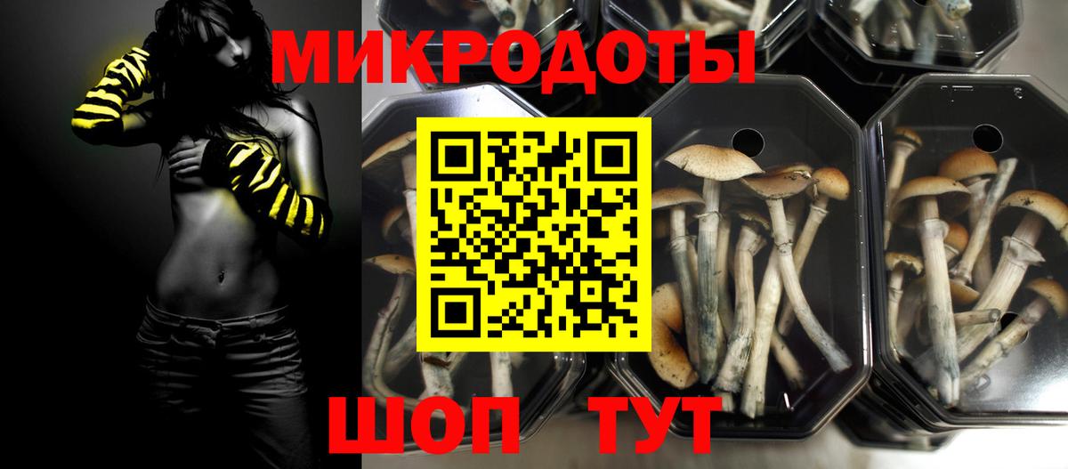 Кулебаки  Псилоцибиновые грибы MAGIC MUSHROOMS  Вход с VPN 